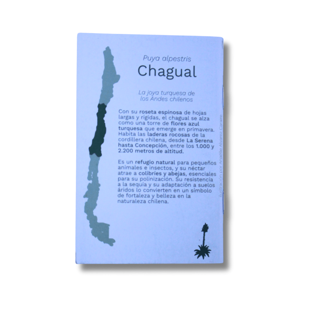 Cuadernillo tamaño bolsillo | Chagual - BirdLog