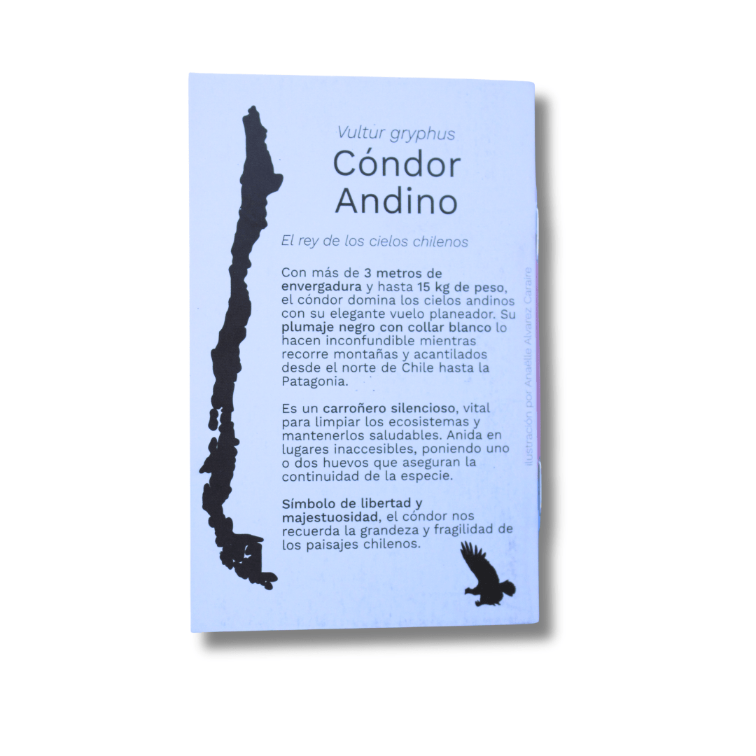 Cuadernillo tamaño bolsillo | Cóndor - BirdLog
