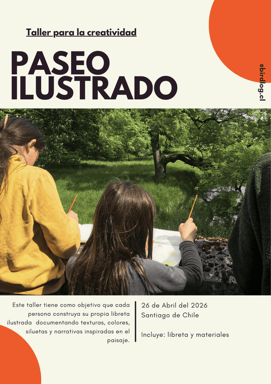 Taller para la creatividad - Paseo ilustrado - BirdLog